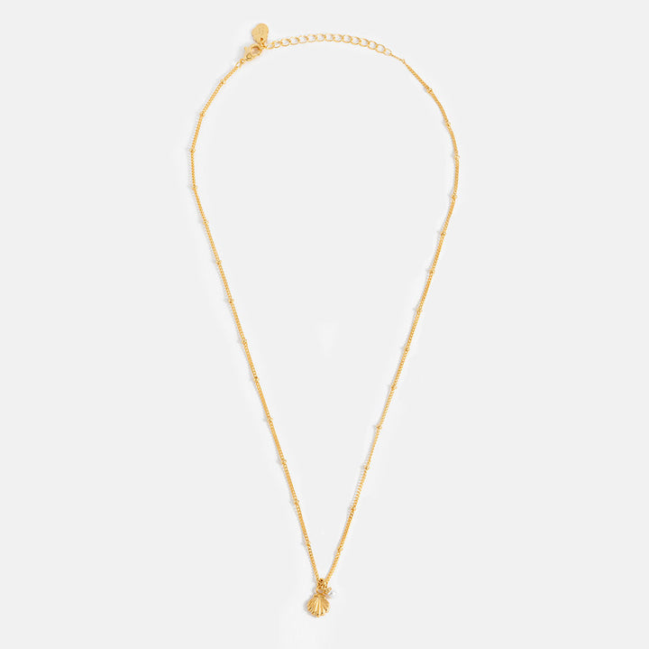 Gold necklace with a shell pendant on a white background