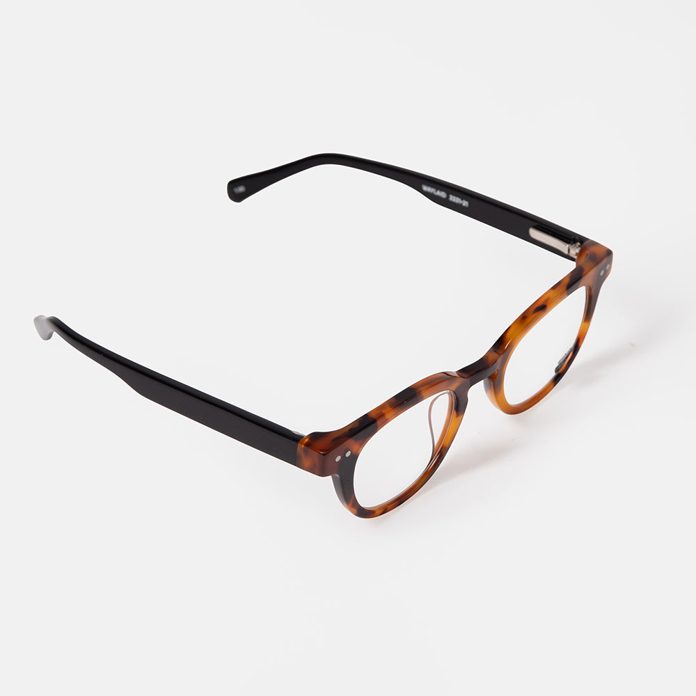 Eyeglasses with tortoiseshell frame on a white background