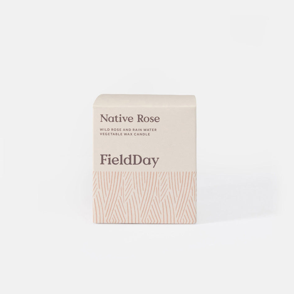 A square cream-colored product box for a FieldDay Native Rose vegetable wax candle, featuring a textured lower half and dark brown text, set against a clean white background.