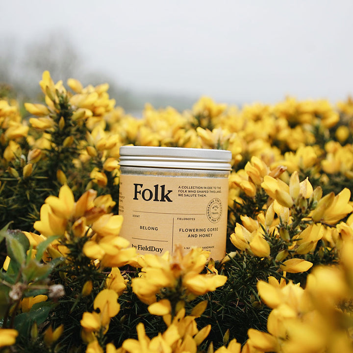 A tin of Folk brand 'Belong' flowerings coffee and honey, set in a field of bright yellow gorse flowers.