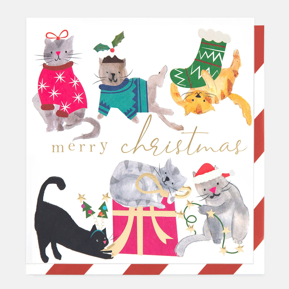 christmas cards featuring hand drawn design of cats dressed in christmas jumpers with presents, stockings and lights on a white background