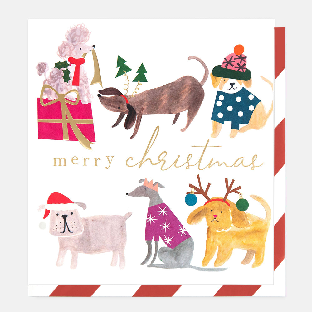 Christmas-themed card with dogs and festive elements on a white background