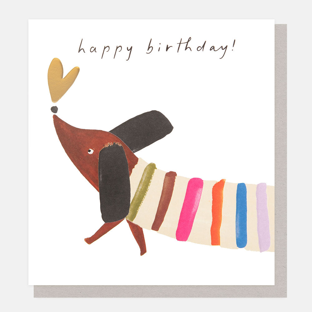 sausage dog in a colourful stripy jumper happy birthday card