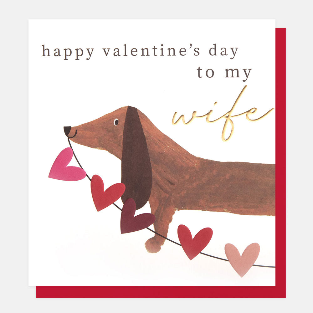 sausage dog holding red hearts bunting happy valentine's day to my wife