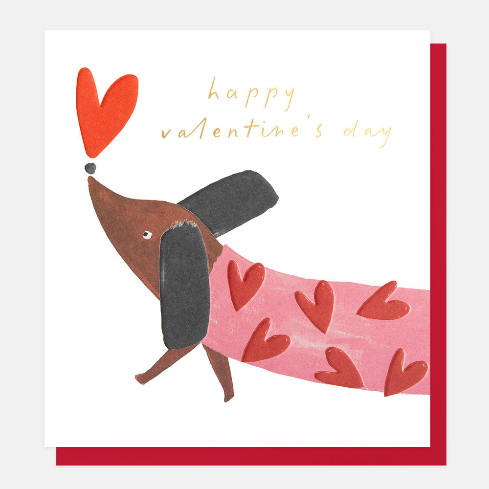 Valentine's Day card with a dog wearing a heart-patterned jumper and a red heart above, on a white background.