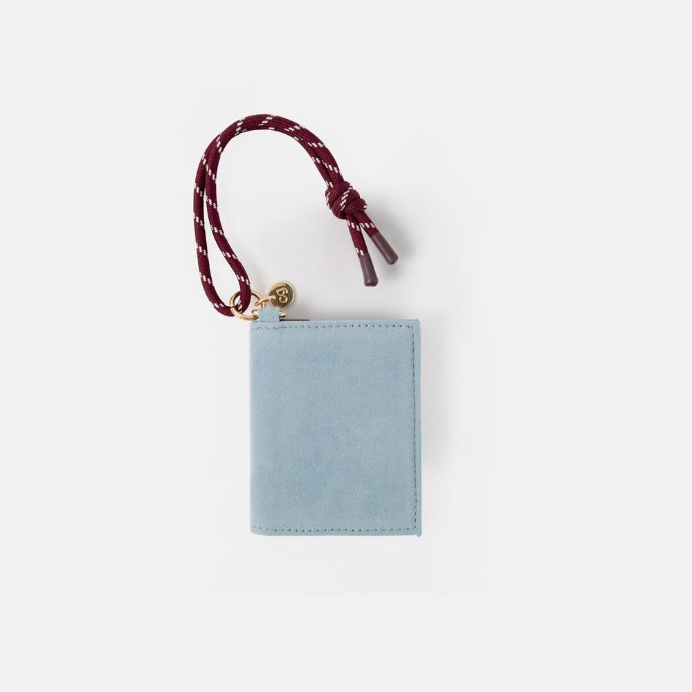 A light blue velvet card holder purse  with a maroon braided leather strap and gold-tone hardware, shown on a plain white background.