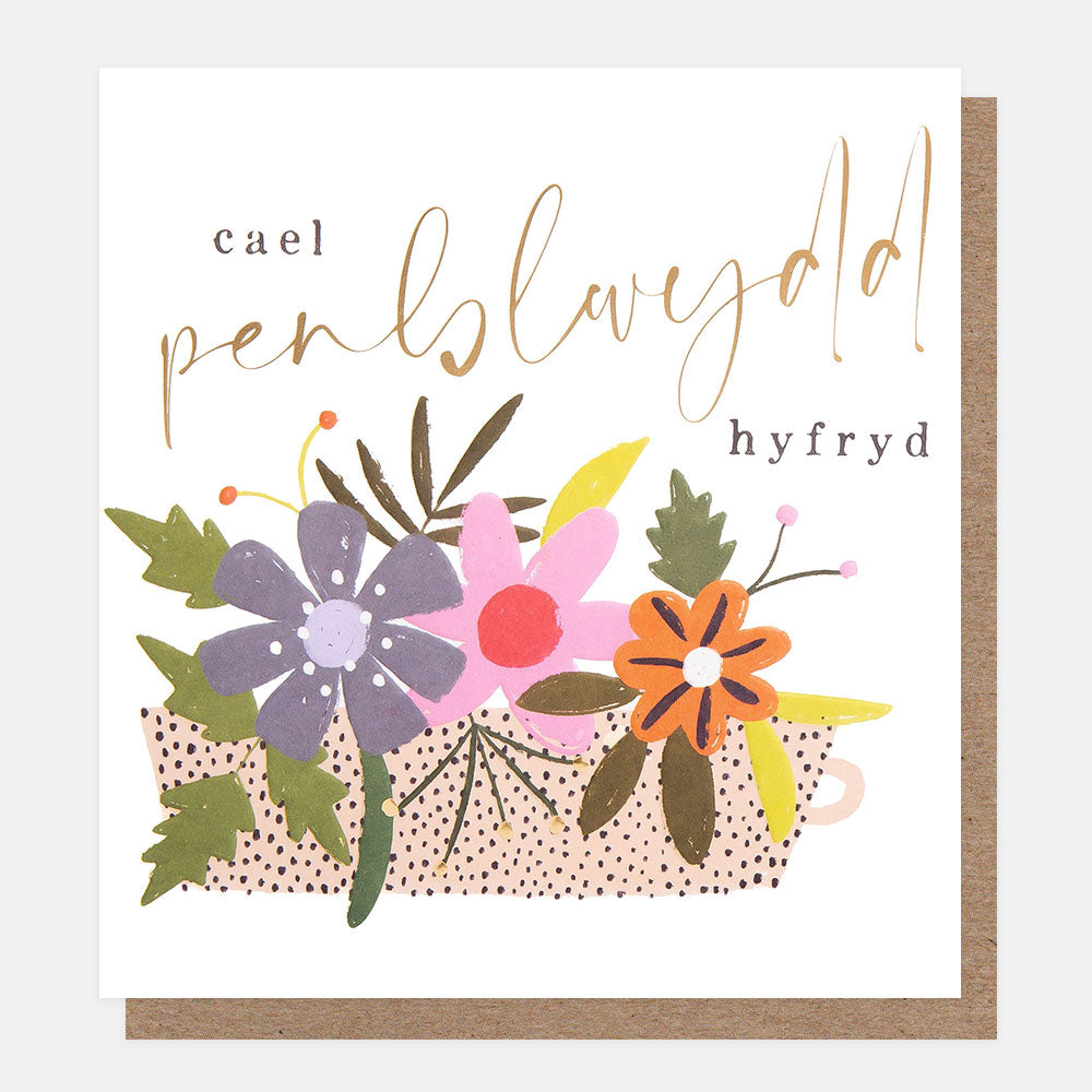 welsh language birthday card featuring colourful flowers in a spotty planter and the text cael penblwydd hyfryd