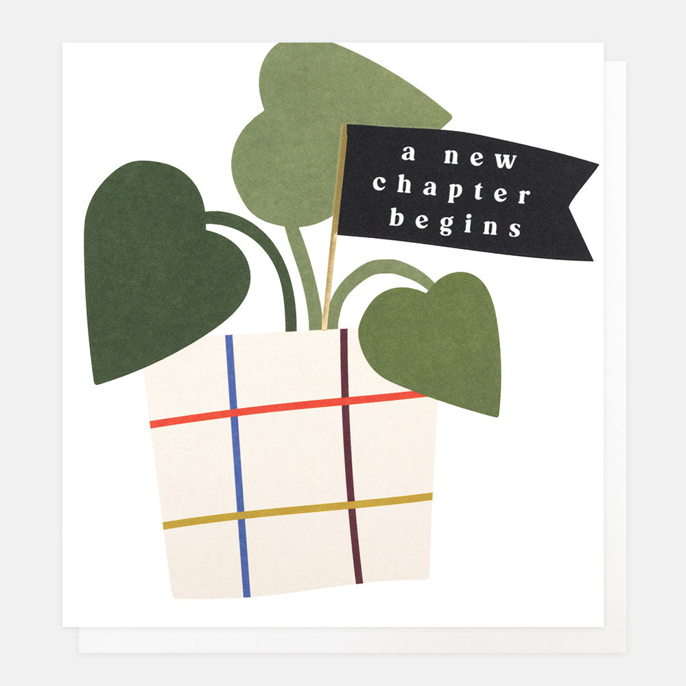 A white greetings card with a green houseplant in a checked pot and a black flag reading 'a new chapter begins' in white lettering, shown with a white envelope behind it.