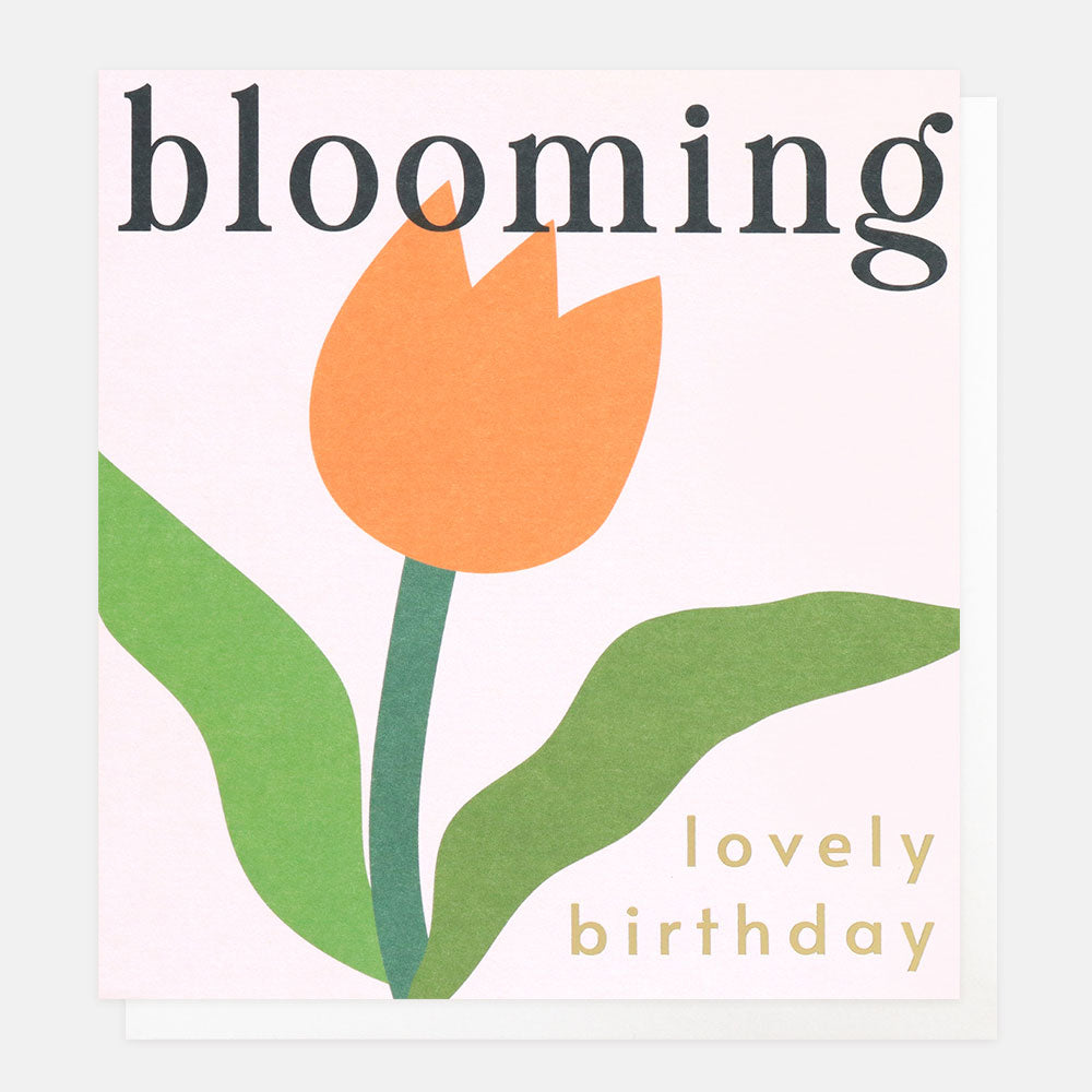Blooming Orange Tulip Birthday Card
