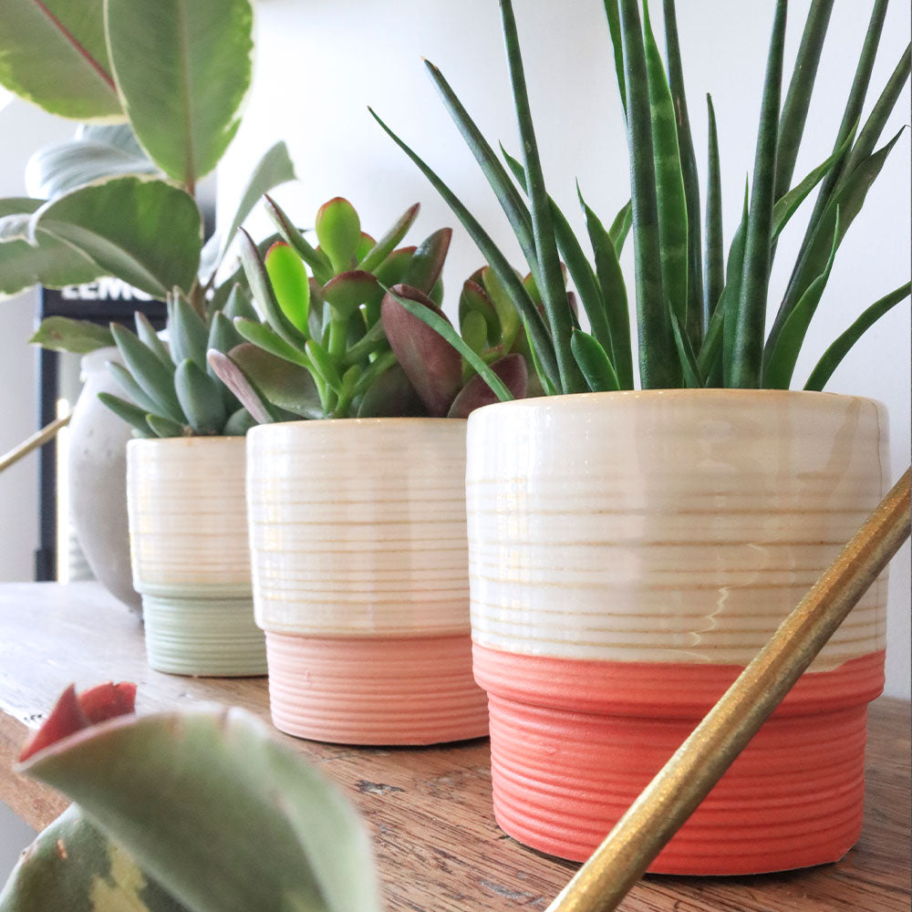 Caroline Gardner Pale Pink Mini Plant Pot