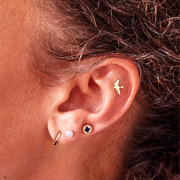 Mixed Nature Stud Earrings