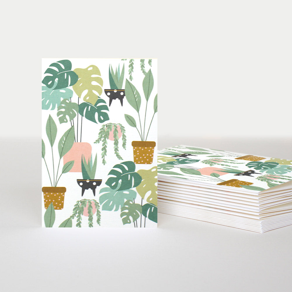 House Plants Blank Notecards Pack of 10