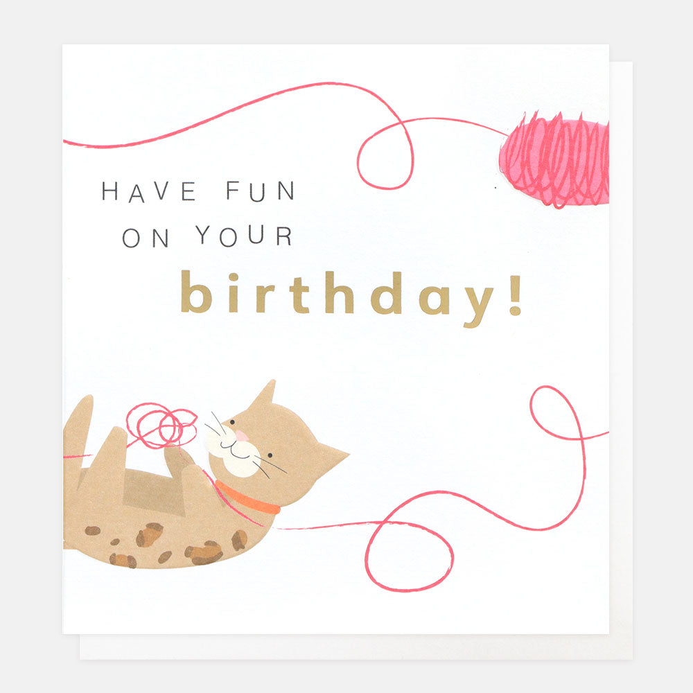 Fun Cat Birthday Card