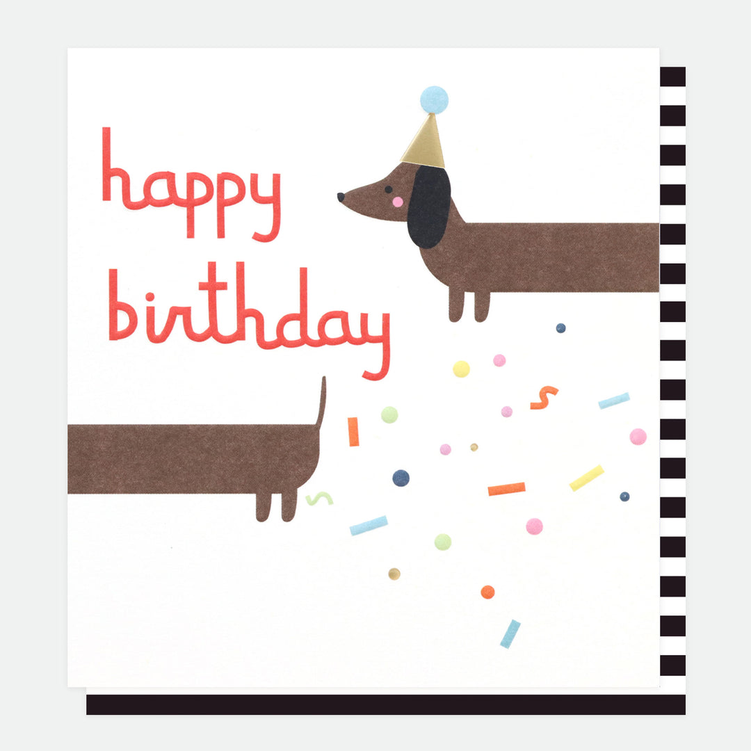 Happy Birthday Sausage Dog Birthday Card, Colour Coded, For Her, For Him, Single Cards